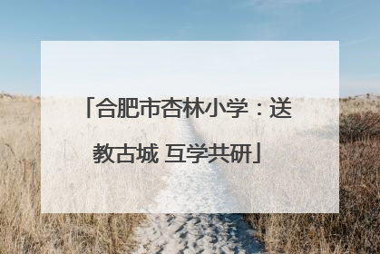 合肥市杏林小学：送教古城 互学共研