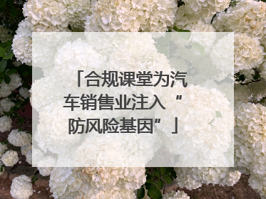 合规课堂为汽车销售业注入“防风险基因”