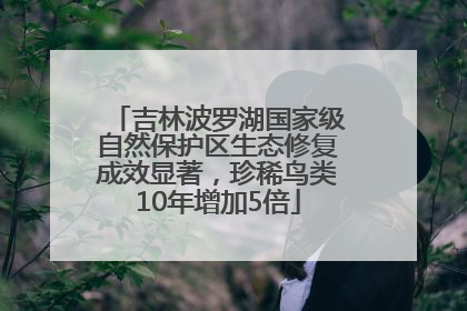 吉林波罗湖国家级自然保护区生态修复成效显著，珍稀鸟类10年增加5倍