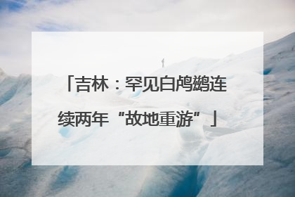 吉林：罕见白鸬鹚连续两年“故地重游”