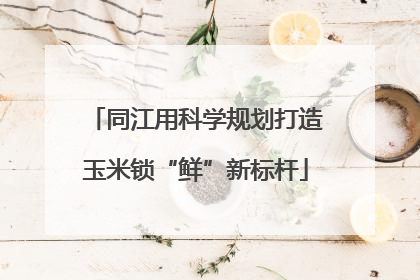 同江用科学规划打造玉米锁“鲜”新标杆