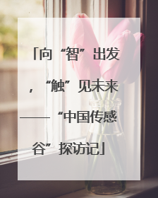 向“智”出发，“触”见未来——“中国传感谷”探访记