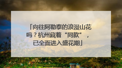 向往阿勒泰的浪漫山花吗？杭州藏着“同款”，已全面进入盛花期