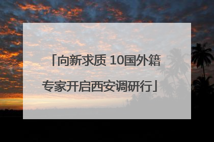 向新求质 10国外籍专家开启西安调研行