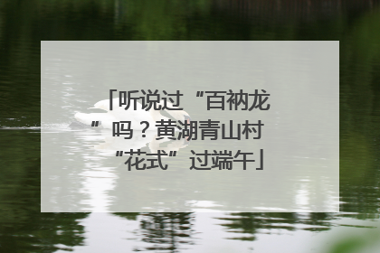听说过“百衲龙”吗？黄湖青山村“花式”过端午