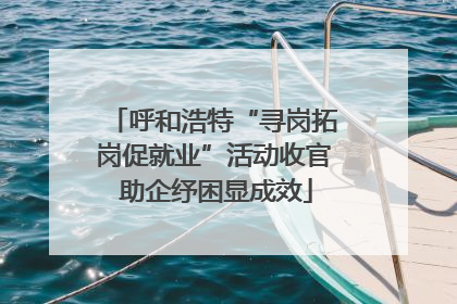 呼和浩特“寻岗拓岗促就业”活动收官 助企纾困显成效