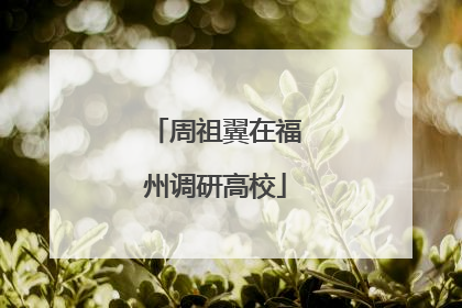 周祖翼在福州调研高校