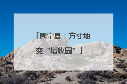周宁县：方寸地变“增收园”