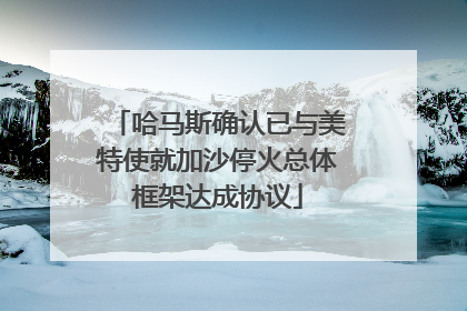 哈马斯确认已与美特使就加沙停火总体框架达成协议