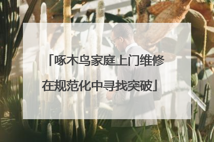 啄木鸟家庭上门维修在规范化中寻找突破