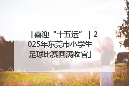 喜迎“十五运”｜2025年东莞市小学生足球比赛圆满收官