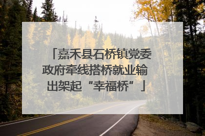 嘉禾县石桥镇党委政府牵线搭桥就业输出架起“幸福桥”