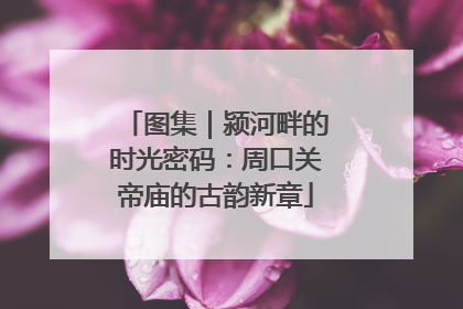 图集｜颍河畔的时光密码：周口关帝庙的古韵新章