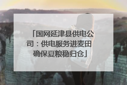 国网延津县供电公司：供电服务进麦田 确保夏粮稳归仓