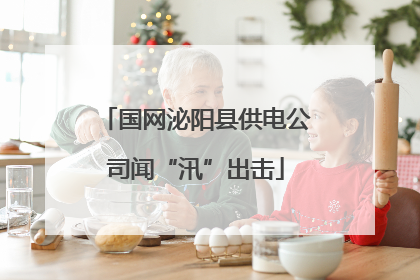 国网泌阳县供电公司闻“汛”出击