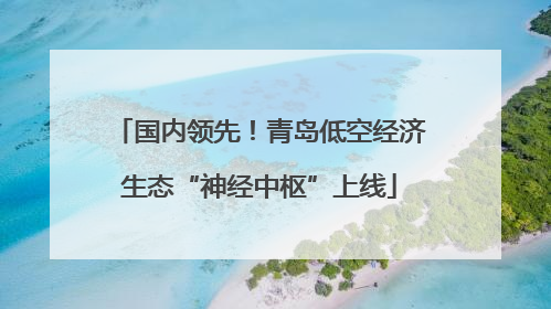 国内领先！青岛低空经济生态“神经中枢”上线