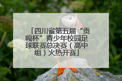 四川省第五届“贡嘎杯”青少年校园足球联赛总决赛（高中组）火热开赛