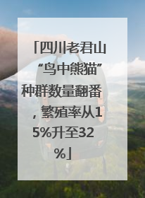 四川老君山“鸟中熊猫”种群数量翻番，繁殖率从15%升至32%