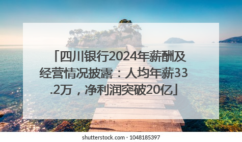 四川银行2024年薪酬及经营情况披露：人均年薪33.2万，净利润突破20亿