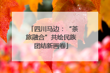 四川马边：“茶旅融合”共绘民族团结新画卷