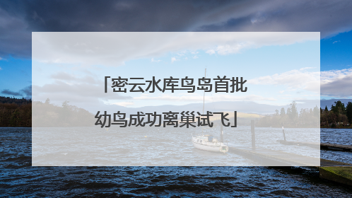 密云水库鸟岛首批幼鸟成功离巢试飞