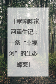 孝南陈家河重生记：一条“幸福河”的生态蝶变