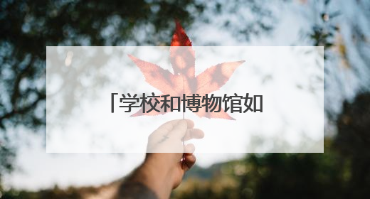 学校和博物馆如何双向奔赴 浙江中小学开设“一平米博物馆”