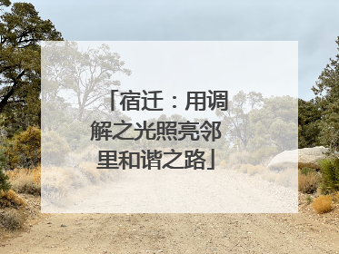 宿迁：用调解之光照亮邻里和谐之路