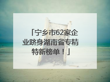 宁乡市62家企业跻身湖南省专精特新榜单！