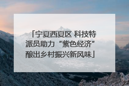 宁夏西夏区 科技特派员助力“紫色经济”酿出乡村振兴新风味