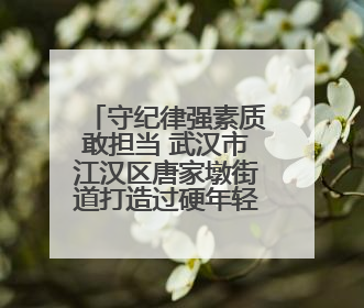 守纪律强素质敢担当 武汉市江汉区唐家墩街道打造过硬年轻干部队伍