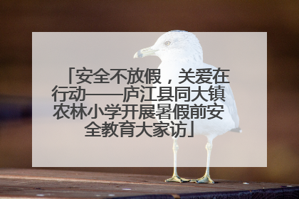 安全不放假，关爱在行动——庐江县同大镇农林小学开展暑假前安全教育大家访