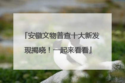 安徽文物普查十大新发现揭晓！一起来看看
