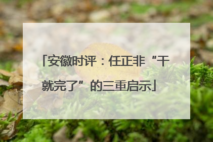 安徽时评：任正非“干就完了”的三重启示