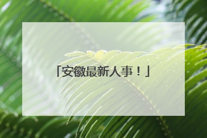 安徽最新人事！
