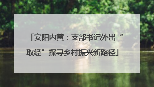 安阳内黄：支部书记外出“取经”探寻乡村振兴新路径