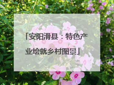 安阳滑县：特色产业绘就乡村图景