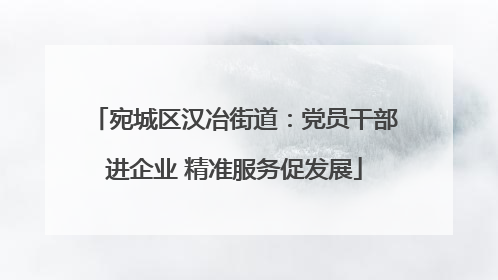 宛城区汉冶街道：党员干部进企业 精准服务促发展