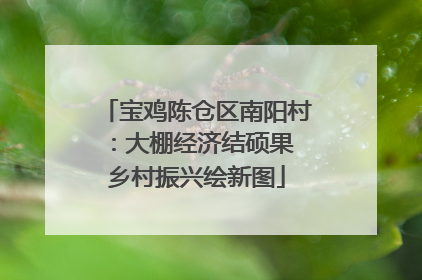 宝鸡陈仓区南阳村：大棚经济结硕果 乡村振兴绘新图