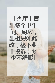 客厅上冒出多个卫生间、厨房，出租房如此改，楼下业主投诉：多少不舒服