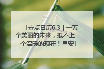 壹点日历6.3｜一万个美丽的未来，抵不上一个温暖的现在！早安