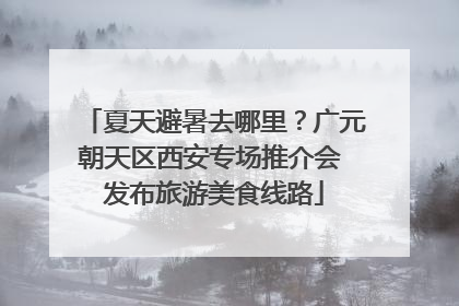 夏天避暑去哪里？广元朝天区西安专场推介会 发布旅游美食线路