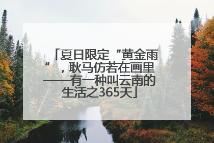 夏日限定“黄金雨”，耿马仿若在画里——有一种叫云南的生活之365天