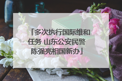 多次执行国际维和任务 山东公安民警陈强亮相国新办