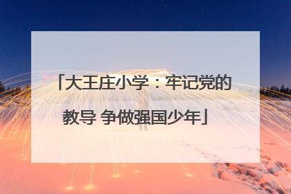 大王庄小学：牢记党的教导 争做强国少年
