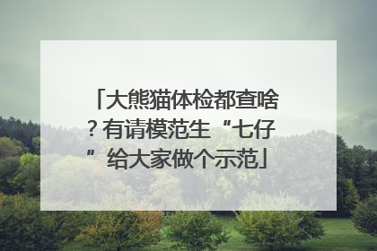大熊猫体检都查啥？有请模范生“七仔”给大家做个示范