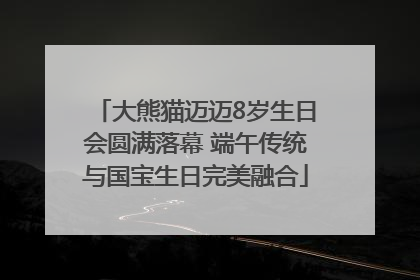 大熊猫迈迈8岁生日会圆满落幕 端午传统与国宝生日完美融合