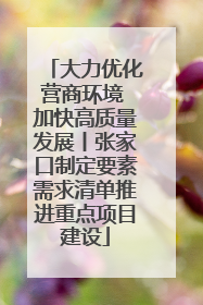 大力优化营商环境 加快高质量发展丨张家口制定要素需求清单推进重点项目建设