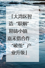 大湾区智造“联姻”精铸小镇 嘉禾借合作“破茧”产业升级