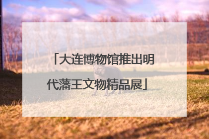 大连博物馆推出明代藩王文物精品展